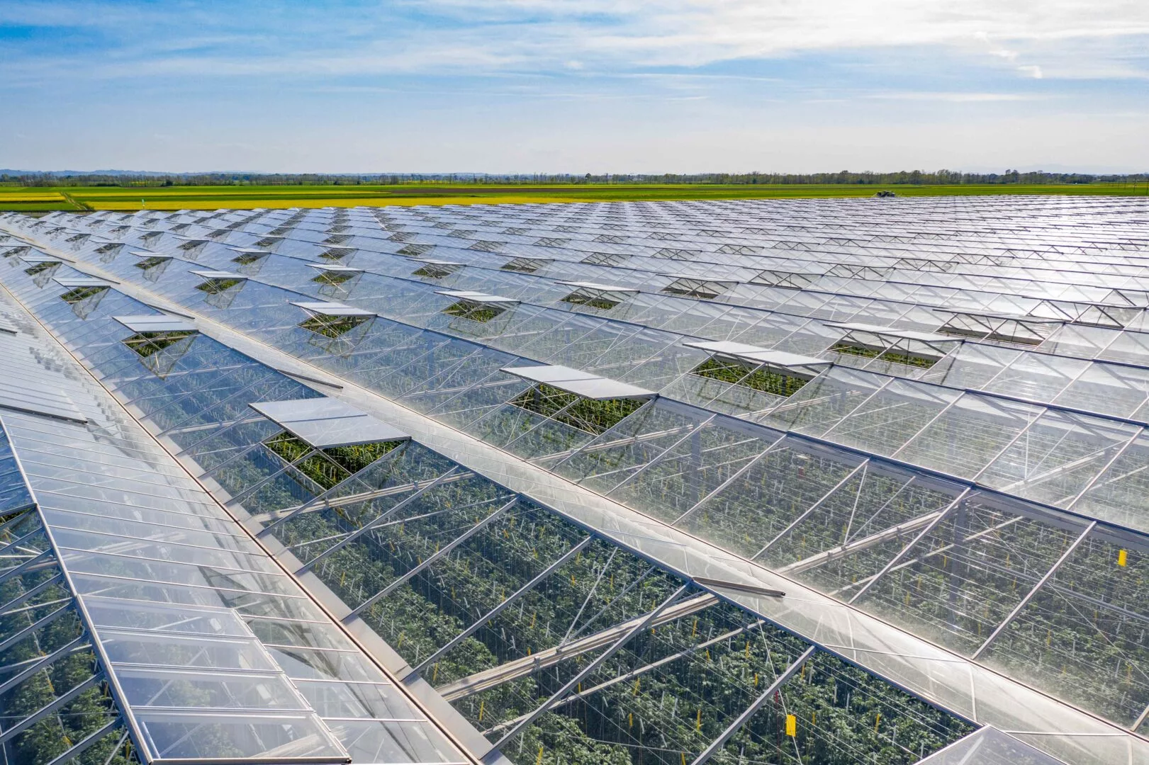greenhouse heating with biomass energy and co2